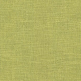 Gobo Kiwi by Kasmir Designer Fabric 5074 60% Polyester 40% Rayon INDIA 30,000 Wyzenbeek Double Rubs Horizontal: 0 Inches and Vertical: 0 Inches 54 - 55 - Swanky Fabrics -