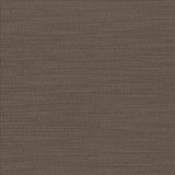 Luxe Foundry by Kasmir Designer Fabric 1447 88% Rayon 12% Polyester USA 21,000 Wyzenbeek Double Rubs Horizontal: 0 Inches and Vertical: 0 Inches 54 - Swanky Fabrics -