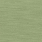 Luxe Jade by Kasmir Designer Fabric 1447 88% Rayon 12% Polyester USA 21,000 Wyzenbeek Double Rubs Horizontal: 0 Inches and Vertical: 0 Inches 54 - Swanky Fabrics -