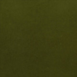 Maison Royale Forest by Kasmir Designer Fabric 1448 75% Polyester 25% Cotton CHINA 201,000 Wyzenbeek Double Rubs Horizontal: 0 Inches and Vertical: 0 Inches 54 - Swanky Fabrics -