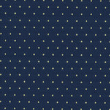 Martinez Twilight by Kasmir Designer Fabric 5088 100% Polyester CHINA 30,000 Wyzenbeek Double Rubs Horizontal: 6/8 inches and Vertical: 1 2/8 inches 54 - 56 - Swanky Fabrics -