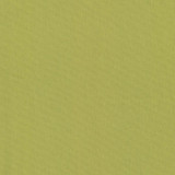 Nonchalant Avocado by Kasmir Designer Fabric 5075 100% Cotton TURKEY Not Tested Horizontal: 0 Inches and Vertical: 0 Inches 54 - 55 - Swanky Fabrics -
