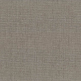 Pinnacle Cement by Kasmir Designer Fabric 5046 100% Polyester INDIA 102,000 Wyzenbeek Double Rubs Horizontal: 0 Inches and Vertical: 0 Inches 54 - 55 - Swanky Fabrics -