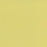 Pirouette Citrus by Kasmir Designer Fabric 5054 100% Polyester INDIA 45,000 Wyzenbeek Double Rubs Horizontal: 0 Inches and Vertical: 0 Inches 54 - 55 - Swanky Fabrics -