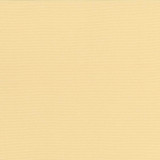 Pirouette Maize by Kasmir Designer Fabric 5054 100% Polyester INDIA 45,000 Wyzenbeek Double Rubs Horizontal: 0 Inches and Vertical: 0 Inches 54 - 55 - Swanky Fabrics -