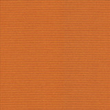 Rivage Orange by Kasmir Designer Fabric 5094 54% Polyester 46% Cotton TAIWAN 10,000 Wyzenbeek Double Rubs Horizontal: 0 Inches and Vertical: 0 Inches 54 - 55 - Swanky Fabrics -