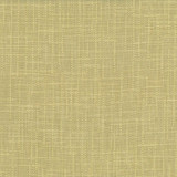 San Carlos Aloe by Kasmir Designer Fabric 5050 100% Polyester INDIA 25,000 Wyzenbeek Double Rubs Horizontal: 0 Inches and Vertical: 0 Inches 54 - 55 - Swanky Fabrics -