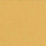 San Carlos Golden by Kasmir Designer Fabric 5050 100% Polyester INDIA 25,000 Wyzenbeek Double Rubs Horizontal: 0 Inches and Vertical: 0 Inches 54 - 55 - Swanky Fabrics -