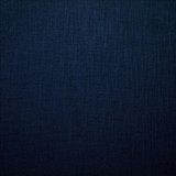 Subtle Chic Indigo by Kasmir Designer Fabric 5040 100% Polyester INDIA 50,000 Wyzenbeek Double Rubs Horizontal: 0 Inches and Vertical: 0 Inches 54 - 57 - Swanky Fabrics -