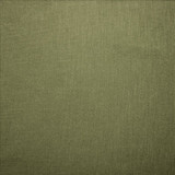 Subtle Chic Pine by Kasmir Designer Fabric 5040 100% Polyester INDIA 50,000 Wyzenbeek Double Rubs Horizontal: 0 Inches and Vertical: 0 Inches 54 - 57 - Swanky Fabrics -