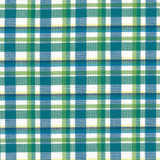 Tamron Plaid Isle Waters by Kasmir Designer Fabric 5073 100% Cotton INDIA 30,000 Wyzenbeek Double Rubs Horizontal: 2 inches and Vertical: 2 inches 54 - Swanky Fabrics -