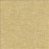 Tao Texture Rice by Kasmir Designer Fabric 5139 100% Polyester INDIA Not Tested H: N/A, V: N/A 54 - Swanky Fabrics - Kasmir