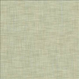 Tao Texture Seabreeze by Kasmir Designer Fabric 5139 100% Polyester INDIA Not Tested H: N/A, V: N/A 54 - Swanky Fabrics - Kasmir