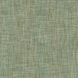 Best In Show Mineral  by Kasmir Designer Fabric 5145 100% Polyester
 INDIA 30,000 Wyzenbeek Double Rubs Horizontal: N/A and Vertical: N/A 55  - Swanky Fabrics -