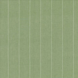 Campus Stripe Thyme  by Kasmir Designer Fabric 5145 100% Cotton
 INDIA 12,000 Wyzenbeek Double Rubs Horizontal: 3 inches and Vertical: N/A 54  - Swanky Fabrics -