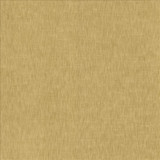 Kamari Camel  by Kasmir Designer Fabric 5150 100% Polyester
 INDIA Not Tested Horizontal: N/A and Vertical: N/A 54  - Swanky Fabrics -