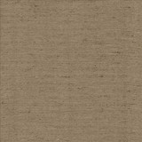 Polished Silver  by Kasmir Designer Fabric 5153 100% Polyester
 INDIA 51,000 Wyzenbeek Double Rubs Horizontal: N/A and Vertical: N/A 55  - Swanky Fabrics -
