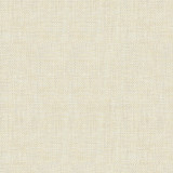 30299.111 by Kravet Basics Designer Fabric Perfect Plains Polyester 63%, Viscose 35%, Polyamide 2% China Heavy Horizontal: see sample and Vertical: see sample 55 inches - Swanky Fabrics -