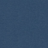 32148.515 by Kravet Contract Designer Fabric our website for purchase Polyester 100% India Heavy Horizontal: see sample and Vertical: see sample 54 inches - Swanky Fabrics -