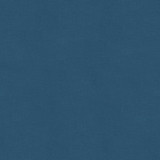 VERSAILLES.E25006 by Kravet Design Designer Fabric our website for purchase Cotton 100% Netherlands Heavy Horizontal: see sample and Vertical: see sample 54 inches - Swanky Fabrics -