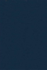 DESIRE.5 by Kravet Design Designer Fabric our website for purchase 100% Leather Japan Heavy Horizontal: see sample and Vertical: see sample 54 inches - Swanky Fabrics -