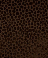 Tabitha Espresso M9252 by Barrow Designer Fabric 13CL02 100% POLYESTER CHINA 21,000 DOUBLE RUBS </p><p>Repeat: Horizontal: 14" and Vertical: 13-1/2" 54" Minimum - Swanky Fabrics -