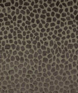 Tabitha Pewter M9252 by Barrow Designer Fabric 13CL02 100% POLYESTER CHINA 21,000 DOUBLE RUBS </p><p>Repeat: Horizontal: 14" and Vertical: 13-1/2" 54" Minimum - Swanky Fabrics -