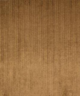 Sheen Almond M9277 by Barrow Designer Fabric 12C01 95% POLYESTER
5% NYLON CHINA 30,000 DOUBLE RUBS </p><p>Repeat: Horizontal: and Vertical: 54" Minimum - Swanky Fabrics -