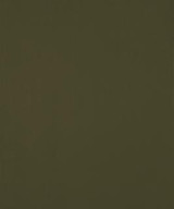 Ciabatta 12105 M10436 by Barrow Designer Fabric 18C09 100% POLYESTER KNIT PILE FABRIC CHINA 30,000 DOUBLE RUBS </p><p>Repeat: Horizontal: and Vertical: 54" Minimum - Swanky Fabrics -