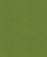 Flatbread 12103 M9989 by Barrow Designer Fabric 18C09 100% POLYESTER KNIT PILE FABRIC CHINA 30,000 DOUBLE RUBS </p><p>Repeat: Horizontal: and Vertical: 54" Minimum - Swanky Fabrics -