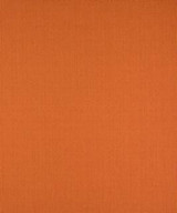 Comprise Tangerine M9446 by Barrow Designer Fabric 13C04 65% COTTON
35% POLYESTER CHINA 50,000 DOUBLE RUBS </p><p>Repeat: Horizontal: and Vertical: 54" Minimum - Swanky Fabrics -