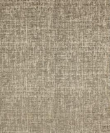 Saltville 12313 M10176 by Barrow Designer Fabric 17C05 91% POLYESTER
9% COTTON CHINA 15,000 DOUBLE RUBS </p><p>Repeat: Horizontal: and Vertical: 54" Minimum - Swanky Fabrics -