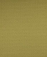 Hampden Sprout M8654 by Barrow Designer Fabric 1113 52% POLYESTER (S)
48% POLYESTER (F) CHINA 50,000 DOUBLE RUBS </p><p>Repeat: Horizontal: N/A and Vertical: N/A 54" Minimum - Swanky Fabrics -