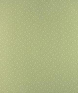 Escondido Kiwi M9729 by Barrow Designer Fabric 1569 69% COTTON
31% POLYESTER (F) CHINA 50,000 DOUBLE RUBS </p><p>Repeat: Horizontal: 1 3/4" and Vertical: 1 7/8" 54" Minimum - Swanky Fabrics -