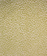 Los Gatos Kiwi M9818 by Barrow Designer Fabric 1569 100% POLYESTER CHINA 36,000 DOUBLE RUBS </p><p>Repeat: Horizontal: 13 1/2" and Vertical: 27" 54" Minimum - Swanky Fabrics -