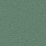 Verve Basil EVE-006 by Nassimi Designer Fabric See sample 100% Polyurethane USA or Imported Water-based cleaning agents and foam may be used for cleaning. Cleaning by a professional cleaning service is recommended. </p><p>Repeat: Horizontal: and Vertical: 54" - Swanky Fabrics -
