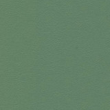 Liberty Jade 1008482 by CGPC Designer Fabric See sample 100% Vinyl USA or Imported Water-based cleaning agents and foam may be used for cleaning. Cleaning by a professional cleaning service is recommended. </p><p>Repeat: Horizontal: and Vertical: 54" - Swanky Fabrics -
