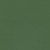 Liberty Loden 1008486 by CGPC Designer Fabric See sample 100% Vinyl USA or Imported Water-based cleaning agents and foam may be used for cleaning. Cleaning by a professional cleaning service is recommended. </p><p>Repeat: Horizontal: and Vertical: 54" - Swanky Fabrics -