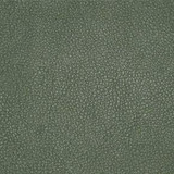 Persuasion Jalapeno TPE-015 by Nassimi Designer Fabric See sample 100% Vinyl USA or Imported Water-based cleaning agents and foam may be used for cleaning. Cleaning by a professional cleaning service is recommended. </p><p>Repeat: Horizontal: and Vertical: 54" - Swanky Fabrics -