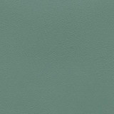 Prizm Jade PRZ-014 by CGPC Designer Fabric See sample 100% Vinyl USA or Imported Water-based cleaning agents and foam may be used for cleaning. Cleaning by a professional cleaning service is recommended. </p><p>Repeat: Horizontal: and Vertical: 54" - Swanky Fabrics -