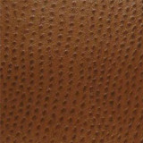 Phoenix Outback TPH-010 by Nassimi Designer Fabric See sample 100% Vinyl USA or Imported Water-based cleaning agents and foam may be used for cleaning. Cleaning by a professional cleaning service is recommended. </p><p>Repeat: Horizontal: and Vertical: 54" - Swanky Fabrics - Phoenix Outback TPH-010 by Nassimi Designer Fabric See sample 100% Vinyl USA or Imported Water-based cleaning agents and foam may be used for cleaning. Cleaning by a professional cleaning service is recommended. </p><p>Repeat: Horizontal: and Vertical: 54" - Swanky Fabrics -