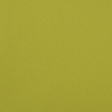 Foundation Spring PFO-017 by Nassimi Designer Fabric See sample 100% Vinyl USA or Imported Water-based cleaning agents and foam may be used for cleaning. Cleaning by a professional cleaning service is recommended. </p><p>Repeat: Horizontal: and Vertical: 54" - Swanky Fabrics -