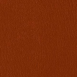 Colorguard Manzanita B439160 by Omnova Designer Fabric See sample 100% Vinyl USA or Imported Water-based cleaning agents and foam may be used for cleaning. Cleaning by a professional cleaning service is recommended. </p><p>Repeat: Horizontal: and Vertical: 54" - Swanky Fabrics -