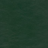 Savoy Evergreen SAV-9761 by Spradling Designer Fabric See sample 100% Vinyl USA or Imported Water-based cleaning agents and foam may be used for cleaning. Cleaning by a professional cleaning service is recommended. </p><p>Repeat: Horizontal: and Vertical: 54" - Swanky Fabrics -