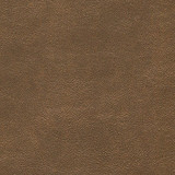 Alchemy Copper Trail ALC-504 by CGPC Designer Fabric See sample 100% Vinyl USA or Imported Water-based cleaning agents and foam may be used for cleaning. Cleaning by a professional cleaning service is recommended. </p><p>Repeat: Horizontal: and Vertical: 54" - Swanky Fabrics -