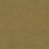 Alchemy California Gold ALC-510 by CGPC Designer Fabric See sample 100% Vinyl USA or Imported Water-based cleaning agents and foam may be used for cleaning. Cleaning by a professional cleaning service is recommended. </p><p>Repeat: Horizontal: and Vertical: 54" - Swanky Fabrics -