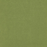 Alchemy Posh Peridot ALC-640 by CGPC Designer Fabric See sample 100% Vinyl USA or Imported Water-based cleaning agents and foam may be used for cleaning. Cleaning by a professional cleaning service is recommended. </p><p>Repeat: Horizontal: and Vertical: 54" - Swanky Fabrics -