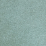 Traveler Sea Biscuit STR-014 by Nassimi Designer Fabric See sample 100% Vinyl USA or Imported Water-based cleaning agents and foam may be used for cleaning. Cleaning by a professional cleaning service is recommended. </p><p>Repeat: Horizontal: and Vertical: 54" - Swanky Fabrics -