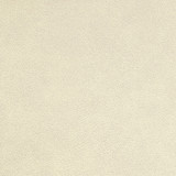 Traveler Macadamia STR-011 by Nassimi Designer Fabric See sample 100% Vinyl USA or Imported Water-based cleaning agents and foam may be used for cleaning. Cleaning by a professional cleaning service is recommended. </p><p>Repeat: Horizontal: and Vertical: 54" - Swanky Fabrics -