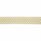 Helix Embroidered Tape/Lettuce T3284-003 by Scalamandre Trim Designer Trim SCALAMANDRE WAREHOUSE 77% VISCOSE 23% RAYON CHINA LIGHT DUTY Horizontal: and Vertical: 2" - Swanky Fabrics -